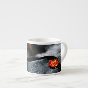 USA, Maine. Maple leaf on black rock in stream Espresso Cup