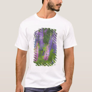 USA, Maine, Southwest Harbour. Blooming lupine T-Shirt