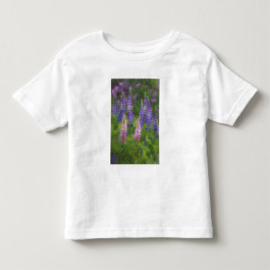 USA, Maine, Southwest Harbour. Blooming lupine Toddler T-Shirt