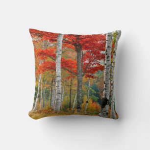 USA, Maine, Wyman Lake. Forest Of Birch Cushion