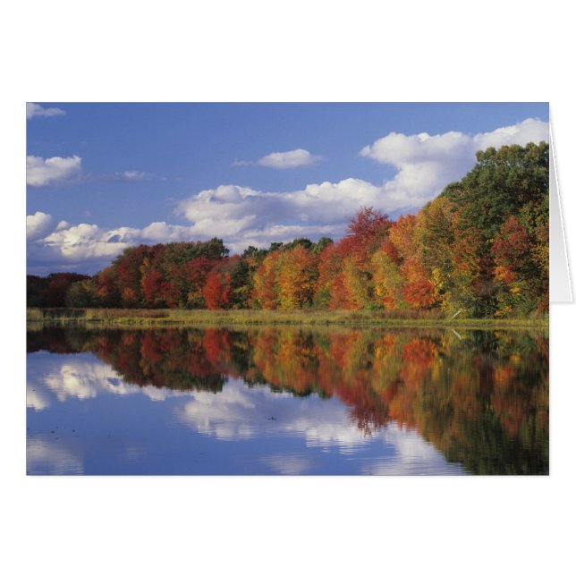 USA, Massachusetts, Acton. Reflection of autumn (Front Horizontal)