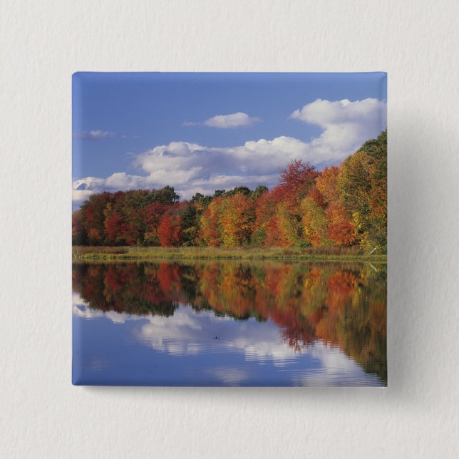 USA, Massachusetts, Acton. Reflection of autumn 15 Cm Square Badge (Front)