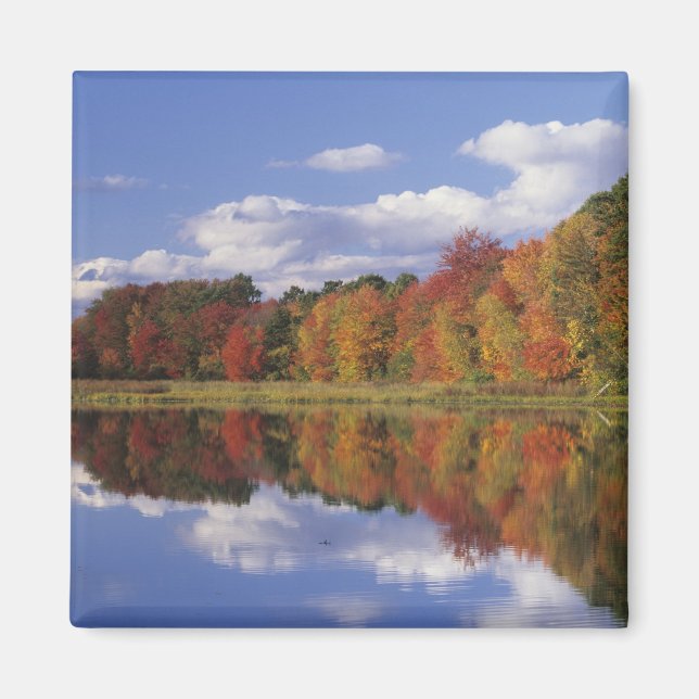 USA, Massachusetts, Acton. Reflection of autumn Magnet (Front)