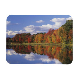 USA, Massachusetts, Acton. Reflection of autumn Magnet