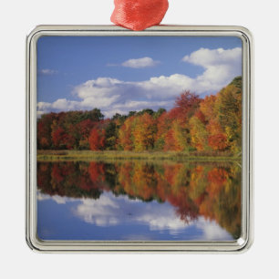 USA, Massachusetts, Acton. Reflection of autumn Metal Tree Decoration