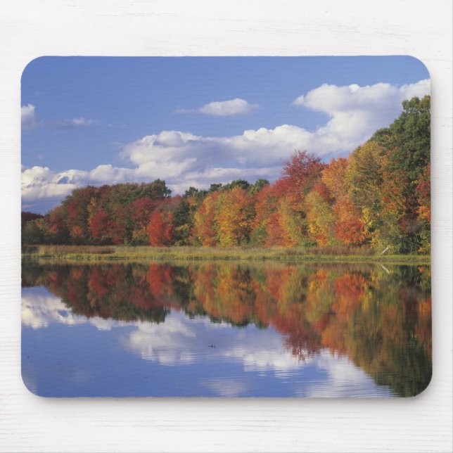 USA, Massachusetts, Acton. Reflection of autumn Mouse Pad (Front)