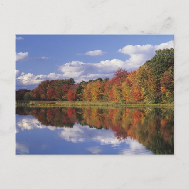 USA, Massachusetts, Acton. Reflection of autumn Postcard (Front)