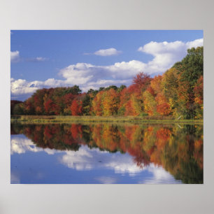 USA, Massachusetts, Acton. Reflection of autumn Poster