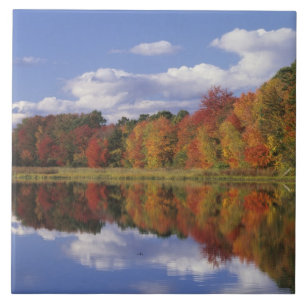 USA, Massachusetts, Acton. Reflection of autumn Tile