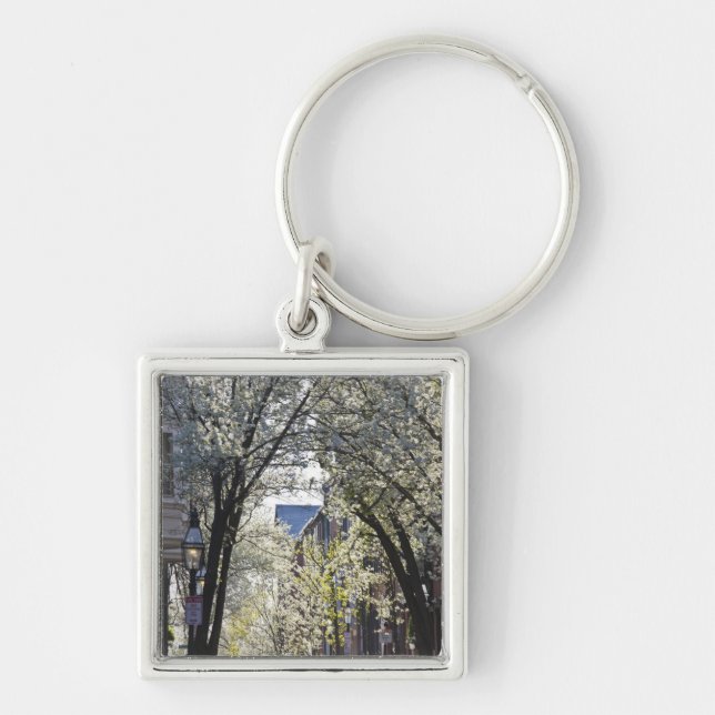 USA, Massachusetts, Boston, Beacon Hill. Key Ring (Front)