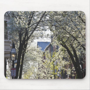 USA, Massachusetts, Boston, Beacon Hill. Mouse Pad