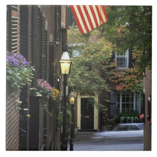 USA, Massachusetts, Boston, Beacon Hill. Tile