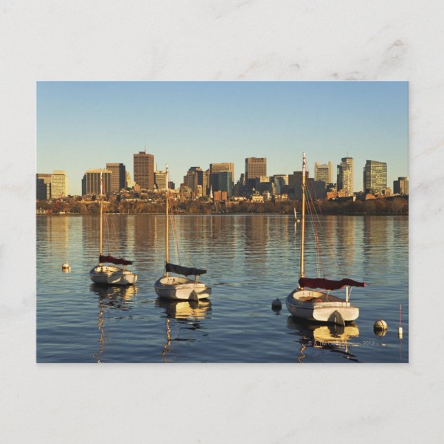 USA, Massachusetts, Boston skyline 3 Postcard (Front)