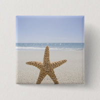 USA, Massachusetts, Cape Cod, Nantucket, close