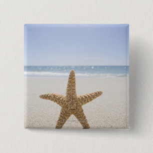 USA, Massachusetts, Cape Cod, Nantucket, close 15 Cm Square Badge