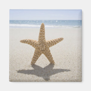 USA, Massachusetts, Cape Cod, Nantucket, close Magnet