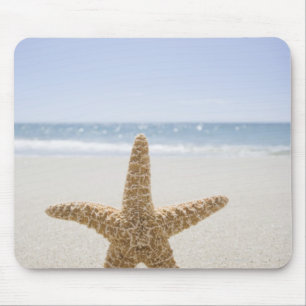 USA, Massachusetts, Cape Cod, Nantucket, close Mouse Pad