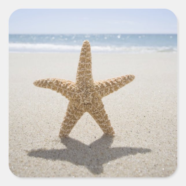 USA, Massachusetts, Cape Cod, Nantucket, close Square Sticker (Front)