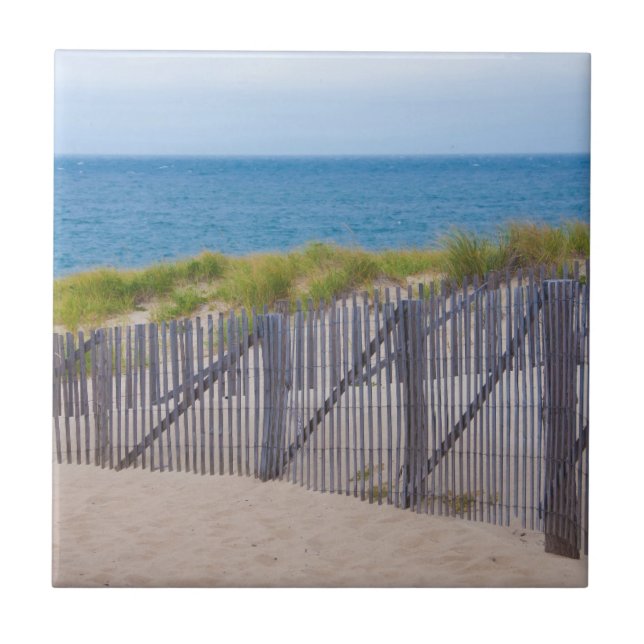 USA, Massachusetts. Dunes And Path Tile (Front)
