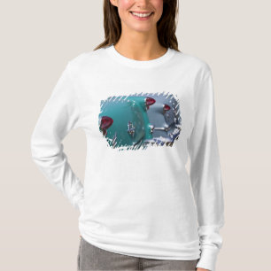 USA, Massachusetts, Gloucester. 1950s-era T-Shirt
