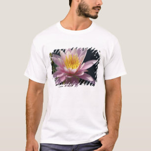 USA, Massachusetts, Great Barrington, lily pad T-Shirt