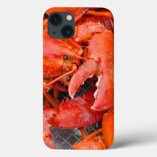 USA, Massachusetts, Martha's Vineyard iPhone 13 Case