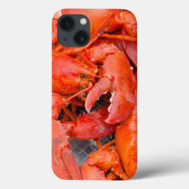 USA, Massachusetts, Martha's Vineyard Case-Mate iPhone Case (Back)