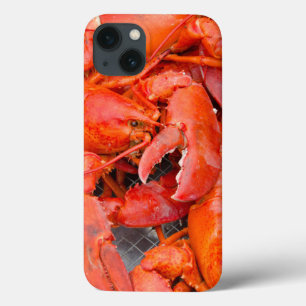 USA, Massachusetts, Martha's Vineyard iPhone 13 Case
