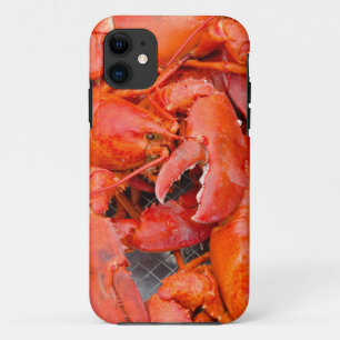 USA, Massachusetts, Martha's Vineyard iPhone 11 Case