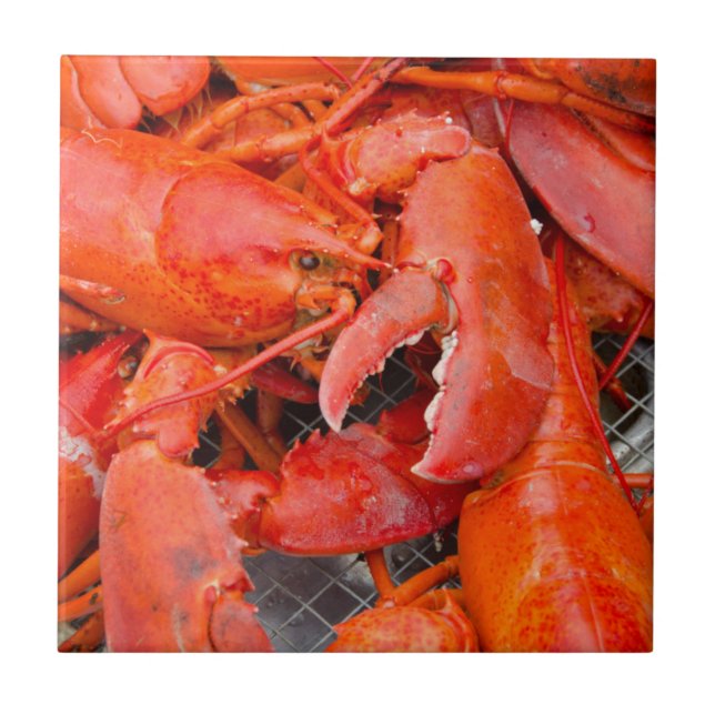 USA, Massachusetts, Martha's Vineyard Ceramic Tile (Front)