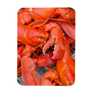 USA, Massachusetts, Martha's Vineyard Magnet