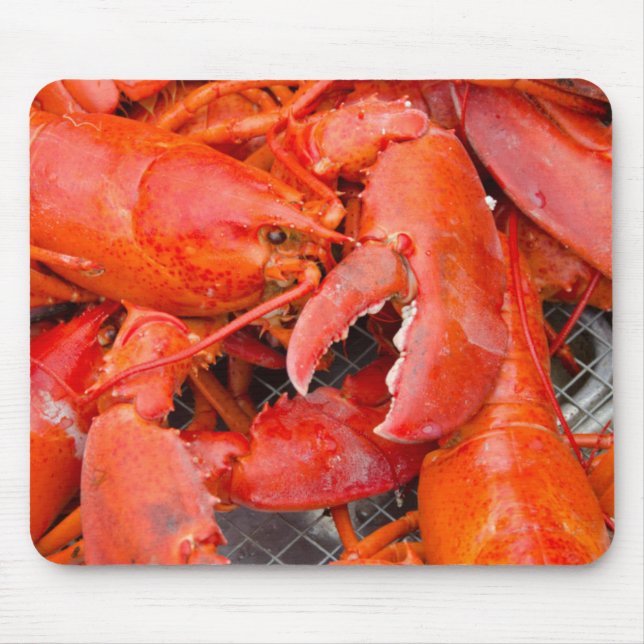 USA, Massachusetts, Martha's Vineyard Mouse Pad (Front)