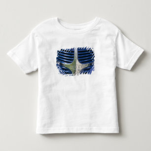 USA, MASSACHUSETTS, Martha's Vineyard: West 2 Toddler T-Shirt