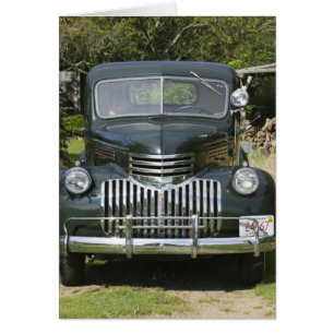 USA, MASSACHUSETTS, Martha's Vineyard: West 4