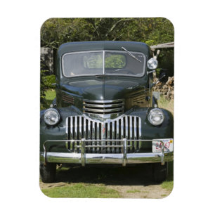 USA, MASSACHUSETTS, Martha's Vineyard: West 4 Magnet