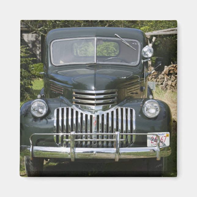 USA, MASSACHUSETTS, Martha's Vineyard: West 4 Magnet (Front)