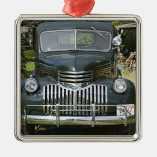 USA, MASSACHUSETTS, Martha's Vineyard: West 4 Metal Tree Decoration