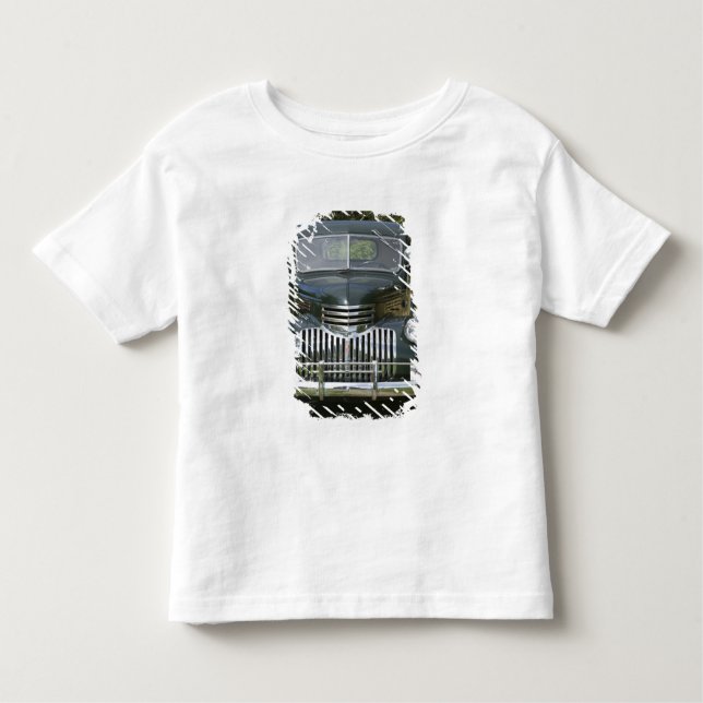 USA, MASSACHUSETTS, Martha's Vineyard: West 4 Toddler T-Shirt (Front)