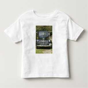 USA, MASSACHUSETTS, Martha's Vineyard: West 4 Toddler T-Shirt