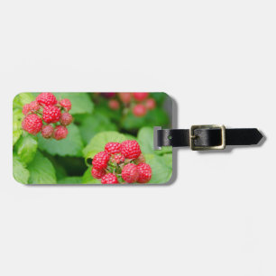 USA, Massachusetts, Nantucket. Ripe Raspberries Luggage Tag