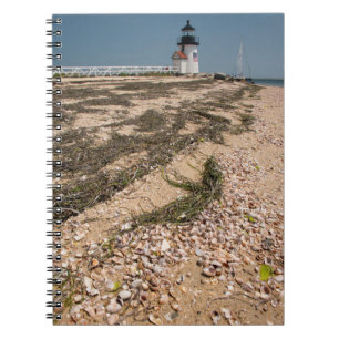 USA, Massachusetts, Nantucket. Shell Notebook