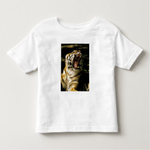 USA, Michigan, Detroit. Detroit Zoo, tiger Toddler T-Shirt