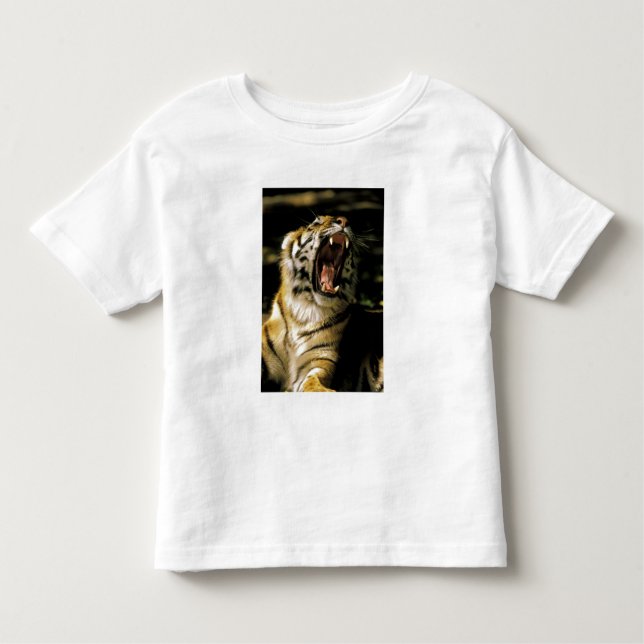 USA, Michigan, Detroit. Detroit Zoo, tiger Toddler T-Shirt (Front)