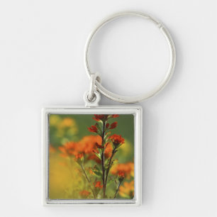 USA, Michigan, Drummond Island, Maxton Plains, Key Ring