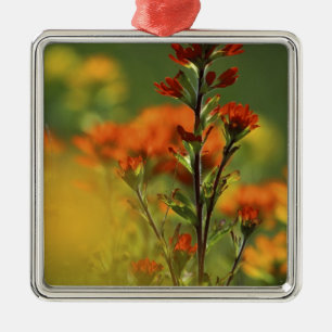 USA, Michigan, Drummond Island, Maxton Plains, Metal Ornament