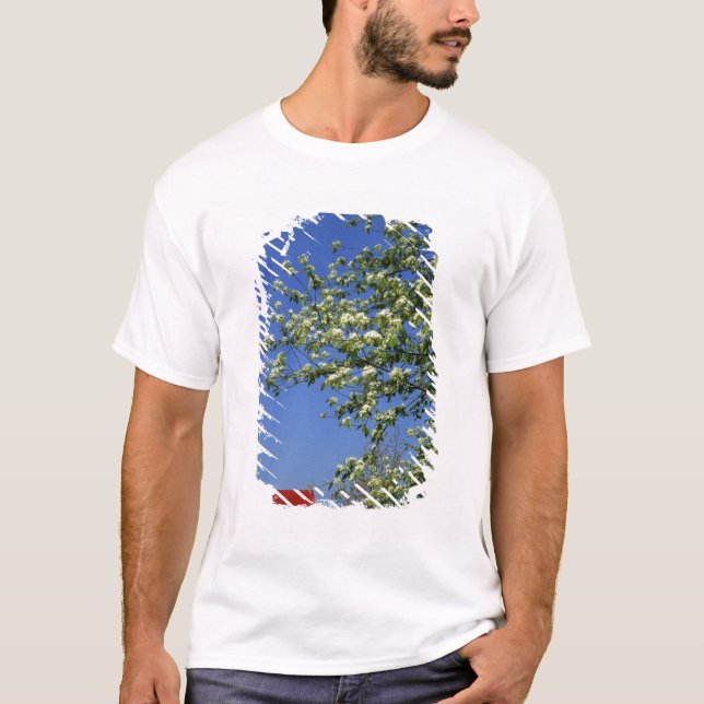 USA, Michigan, East Tawas. Tawas Lighthouse with T-Shirt (Front)