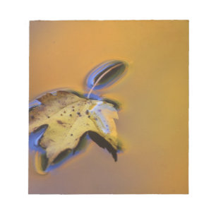 USA, Michigan, Maple leaf floating on water Notepad