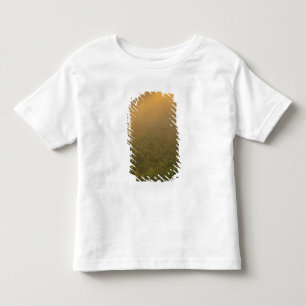 USA, Michigan, Meadow of goldenrod plants Toddler T-Shirt