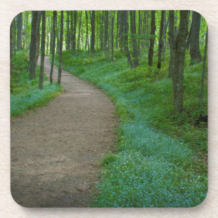 USA, Michigan. Miner's Falls Trail Coaster