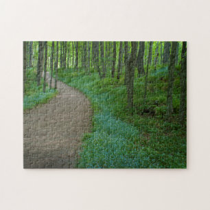 USA, Michigan. Miner's Falls Trail Jigsaw Puzzle